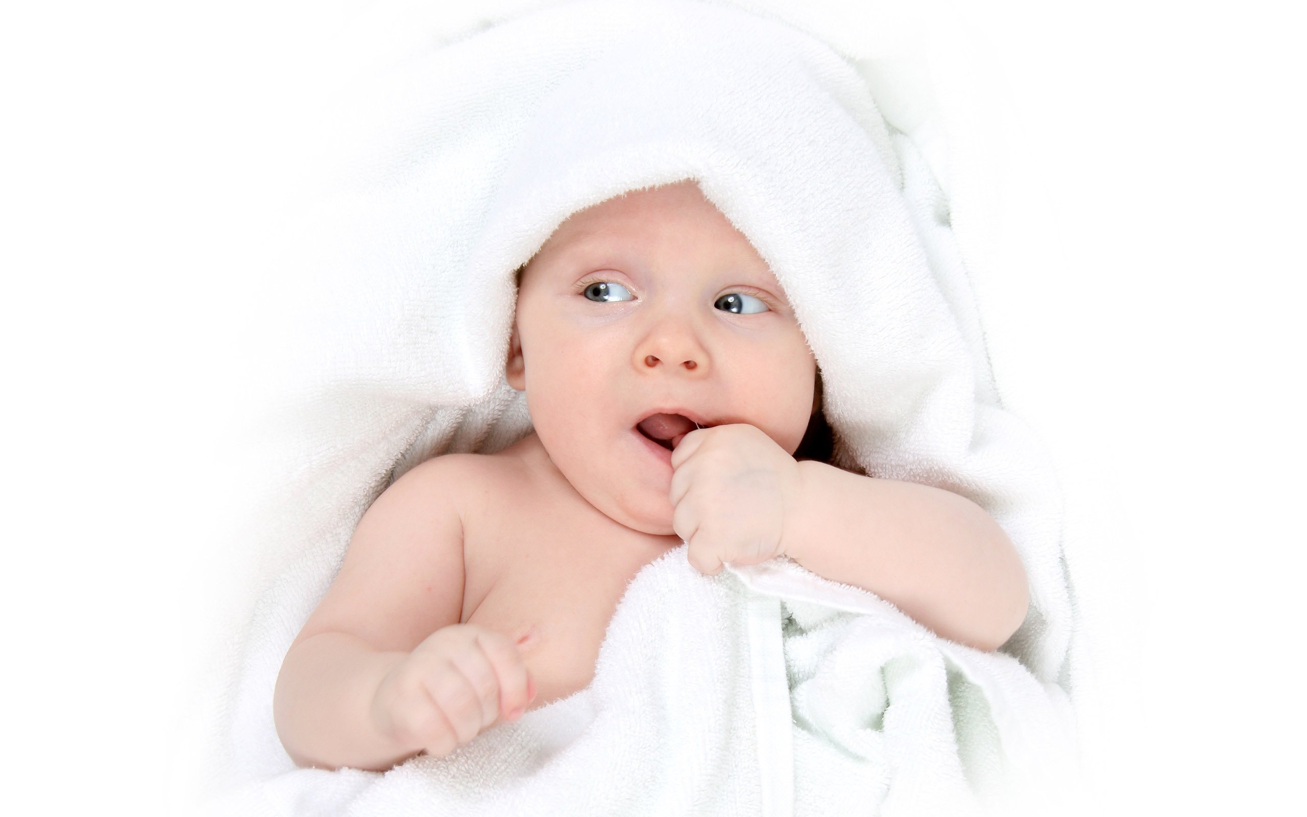 供卵公司机构试管婴儿 降调成功 标准